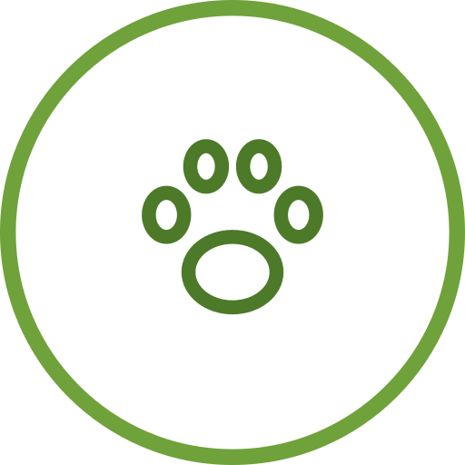 Pet Friendly