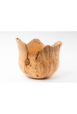 Hugh Ross Tall Maple Burl Bowl with Walnut Accent by Hugh Ross