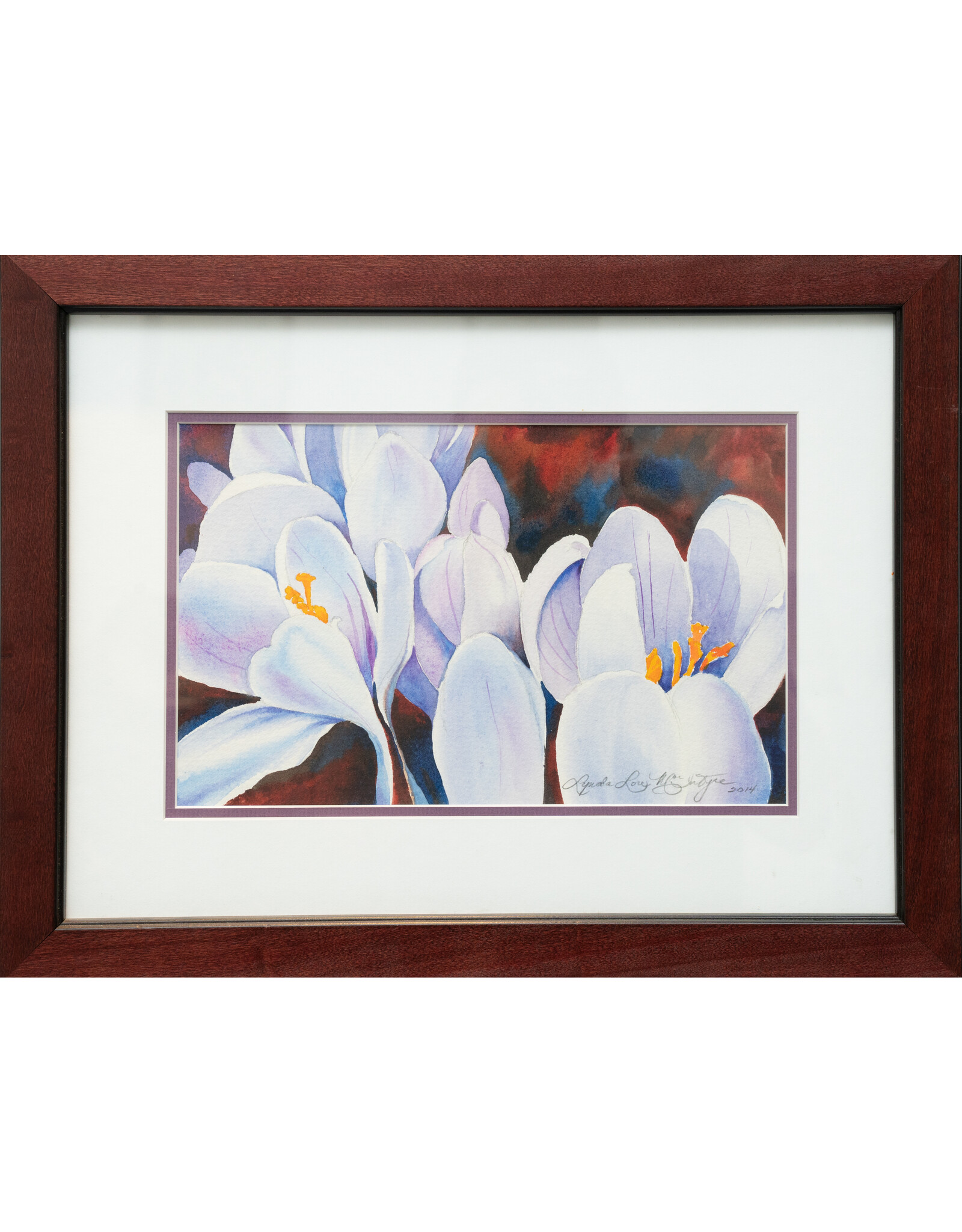 Lynda Lou MacIntyre Crocuses, original watercolour by Lynda Lou MacIntyre