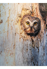 Kris Tynski Stumped Stare, Original Photograph Reproduction on Canvas, by Kris Tynski (18x24)