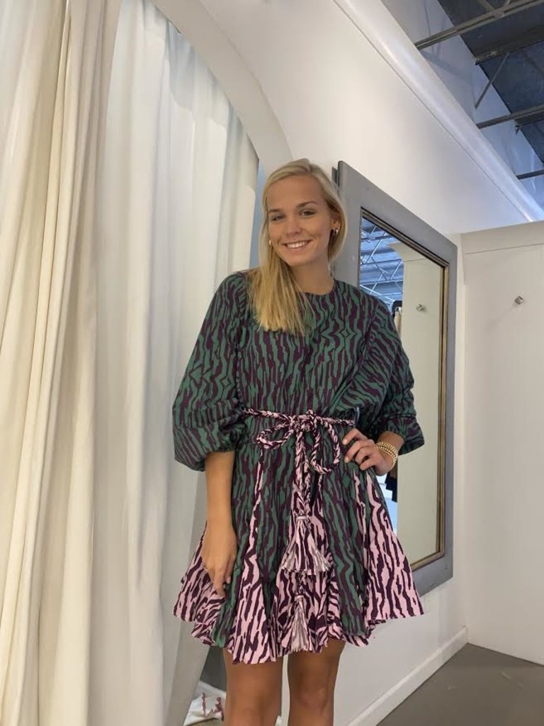 Rhode- Ella Dress- Pixelated Zebra 