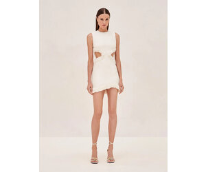 alexis blanc dress ivory Alexis Blanc Floral Embroidered Pleated-Hem Mini Dress - Ivory