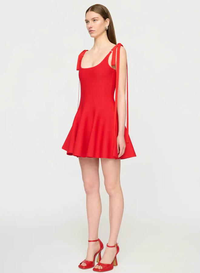 Clea- Karolina Knit Dress- Tamarillo
