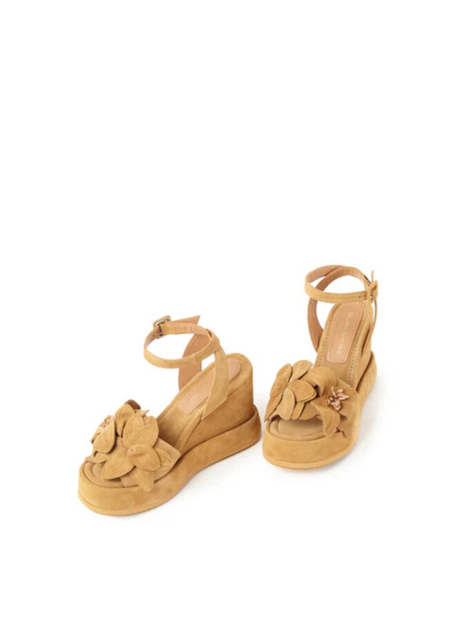 Paloma Barcelo- Rita- Suede Walnut