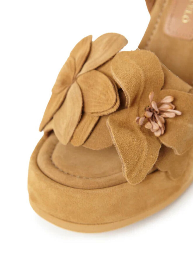 Paloma Barcelo- Rita- Suede Walnut