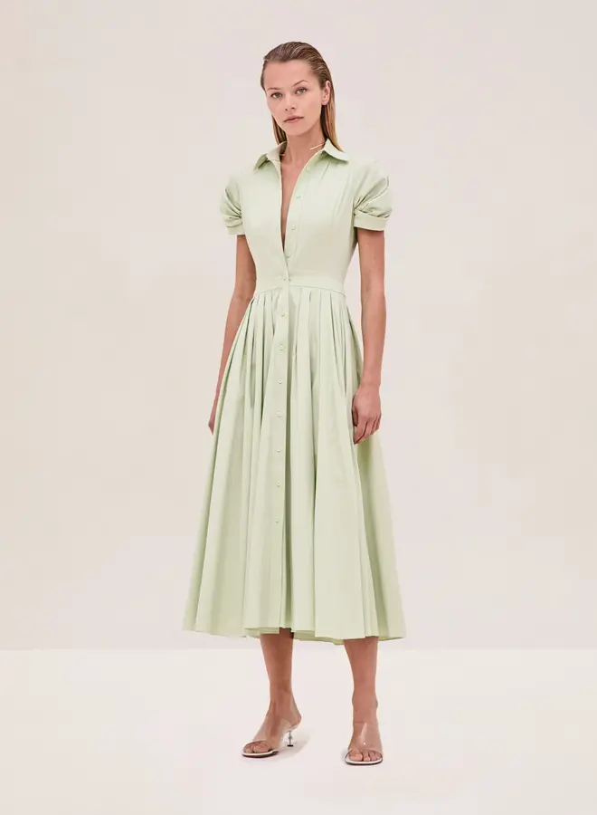 Alexis- Gyles Dress- Mint