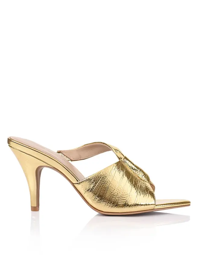 Lana Wilkinson- Kelis/Gold