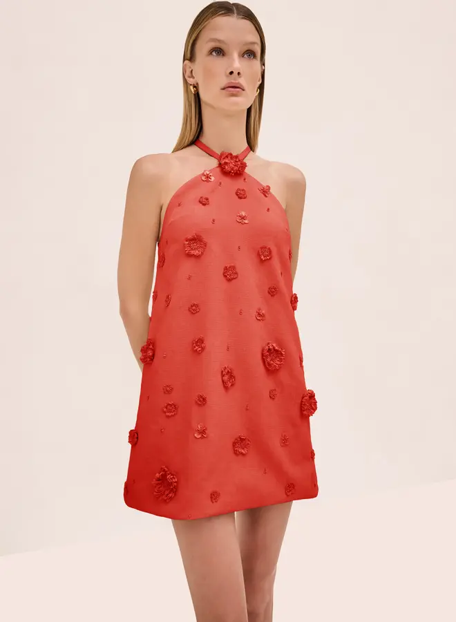 Alexis- Milaa Dress- Terracotta Raffia