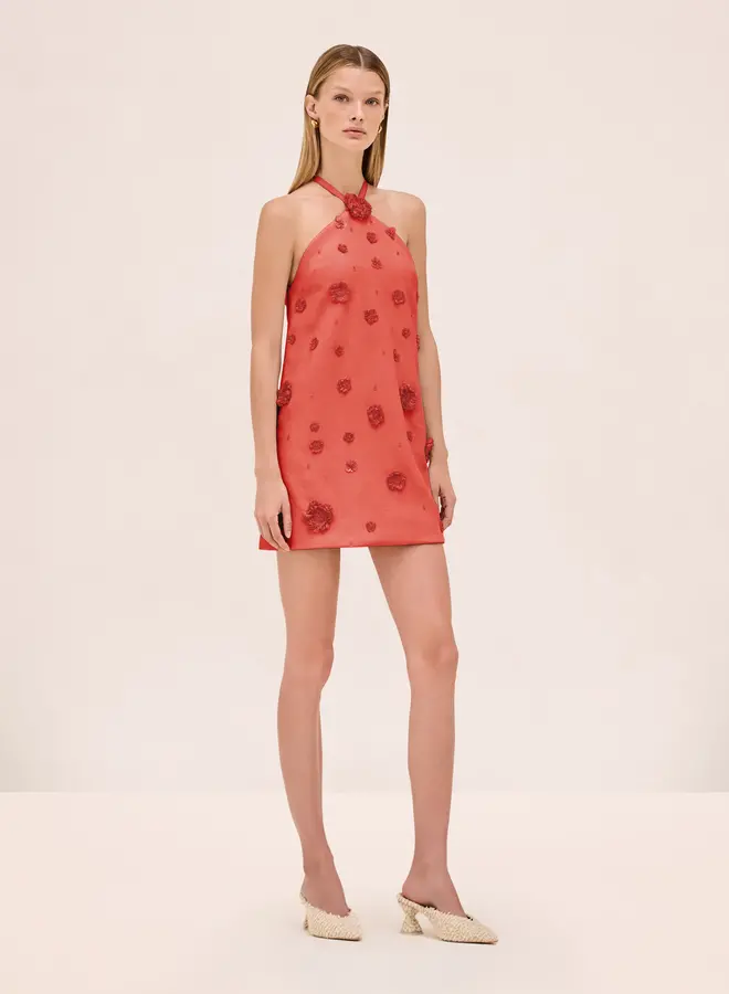 Alexis- Milaa Dress- Terracotta Raffia