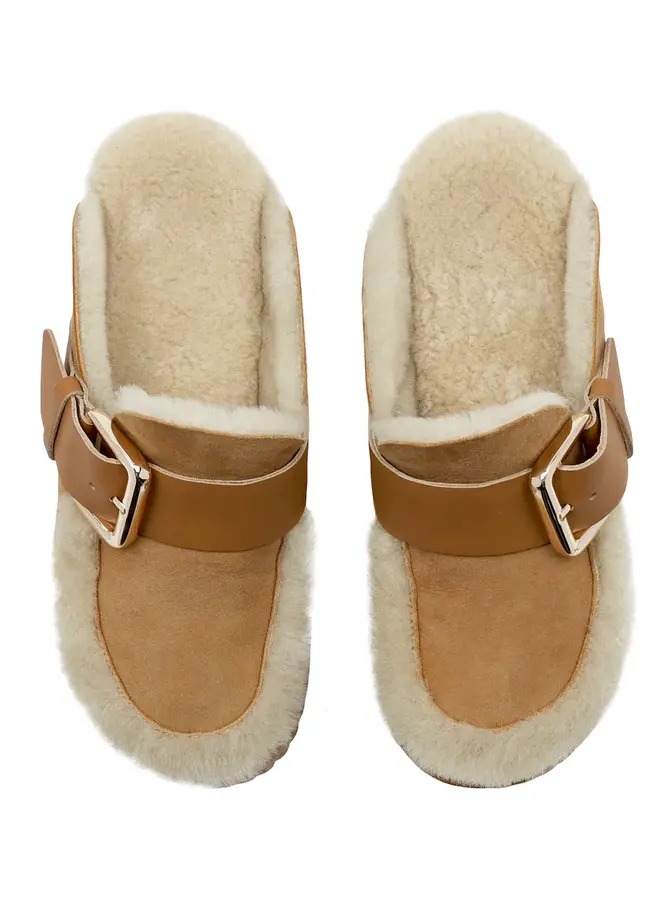 4CCCCEES- Plia Amber- Camel