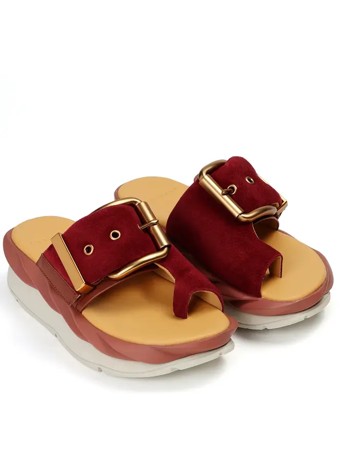 4CCCCEES- Mellow Glow- Rose