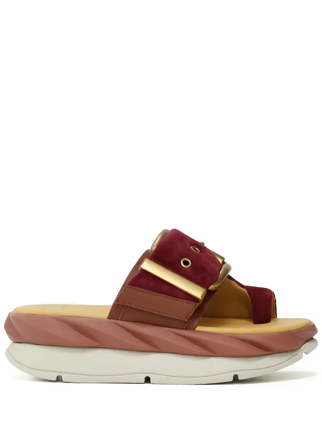 4CCCCEES- Mellow Glow- Rose