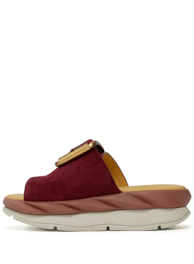 4CCCCEES- Mellow Glow- Rose