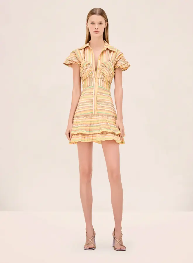 Alexis- Lera Dress- Lemon Stripe