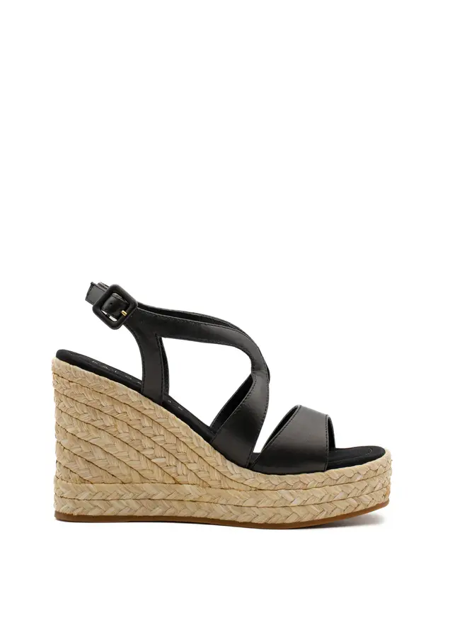 Palomitas- Fauna- Nappa Black