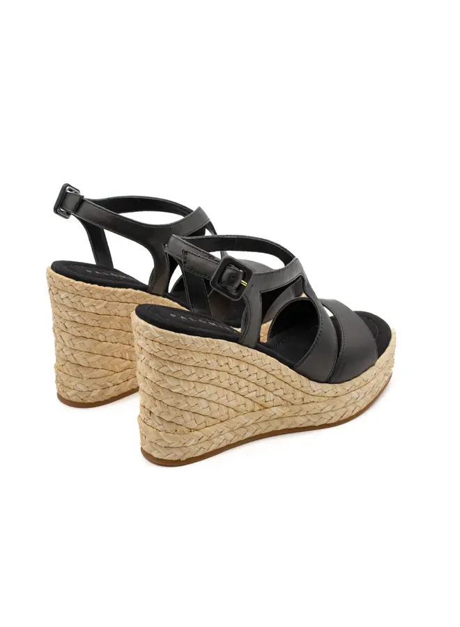 Palomitas- Fauna- Nappa Black