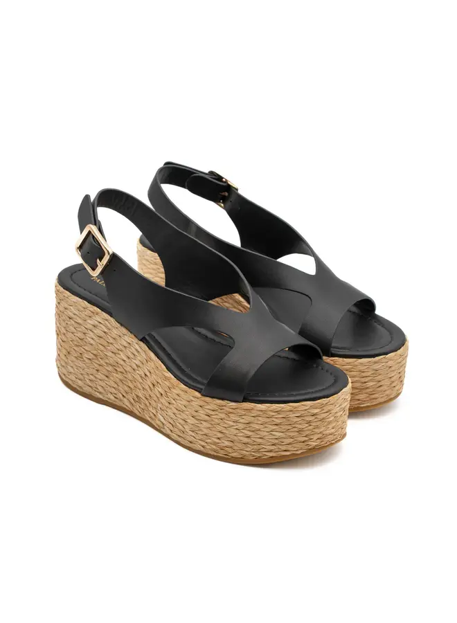 Paloma Barcelo- Hudson- Calidis Black