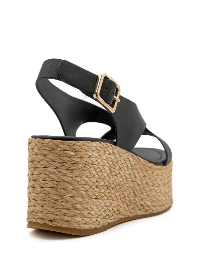 Paloma Barcelo- Hudson- Calidis Black