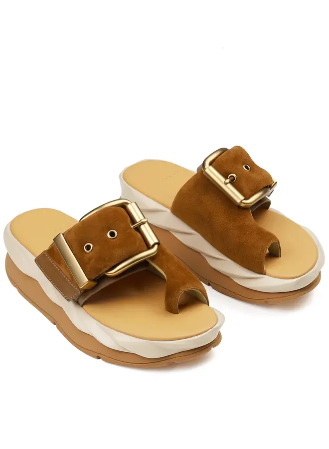 4ccccees- Mellow Glow- Soft Brown