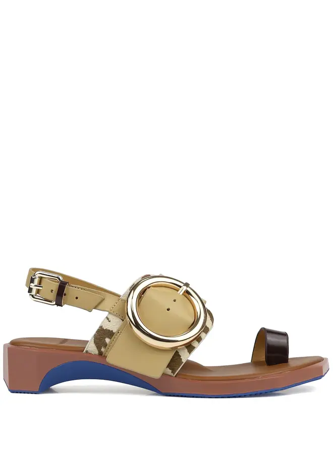 4ccccees- Follin Torus- Zebra Mix