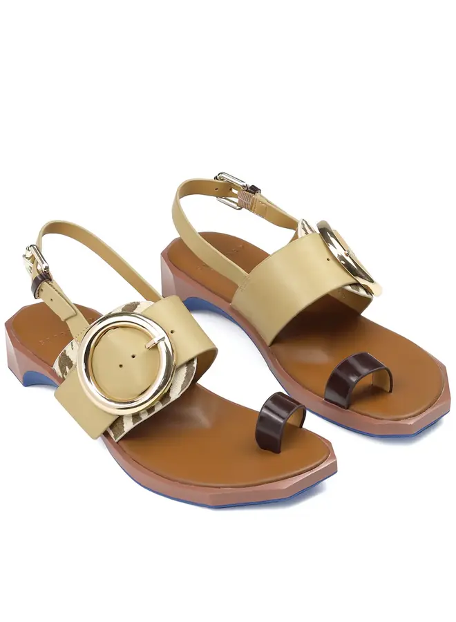 4ccccees- Follin Torus- Zebra Mix