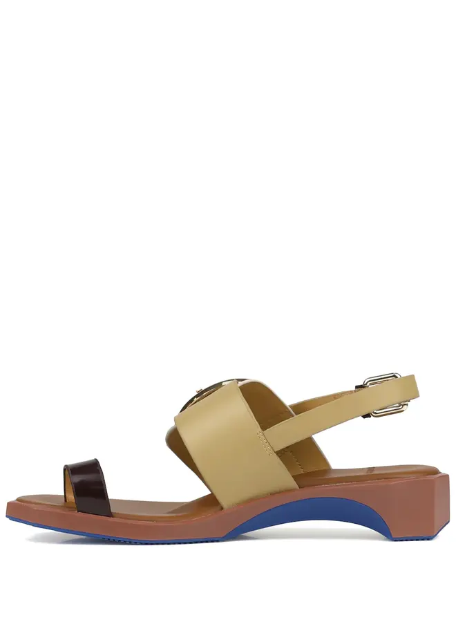 4ccccees- Follin Torus- Zebra Mix