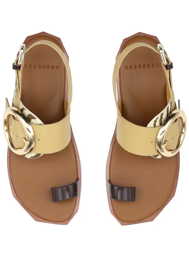 4ccccees- Follin Torus- Zebra Mix