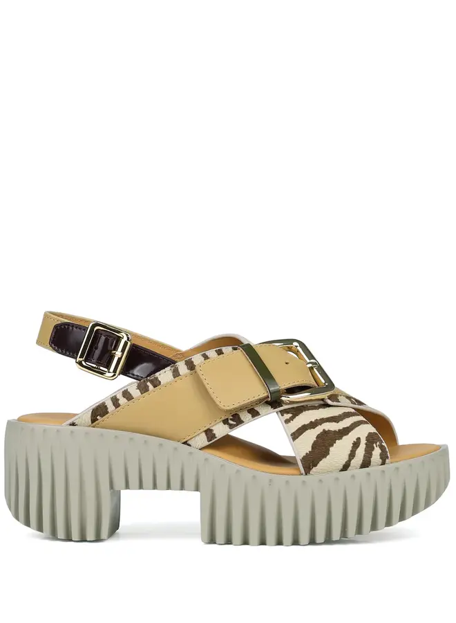 4ccccees- Plia Juno- Zebra Mix