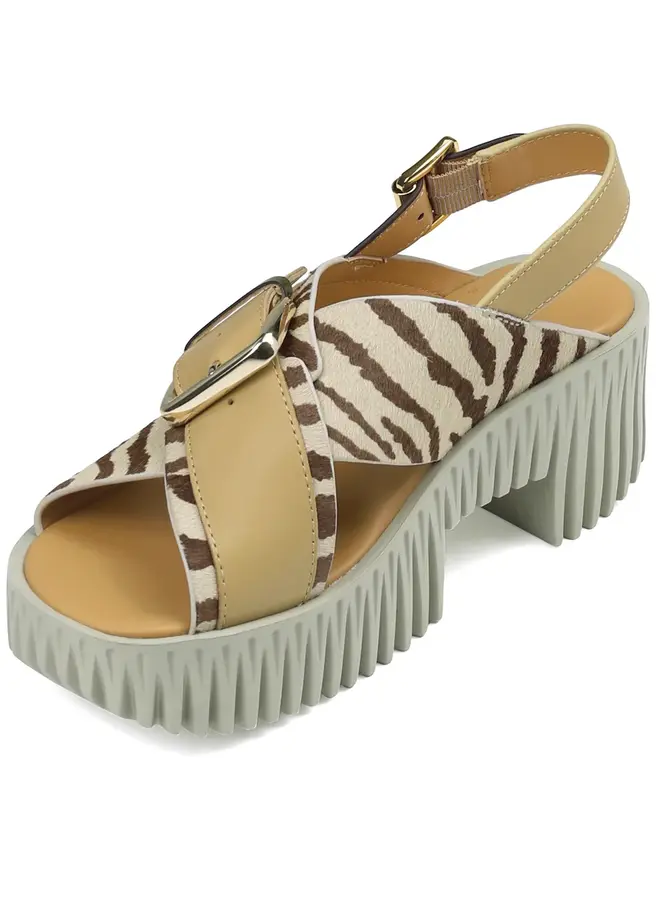 4ccccees- Plia Juno- Zebra Mix