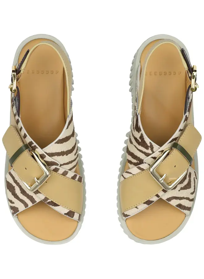 4ccccees- Plia Juno- Zebra Mix