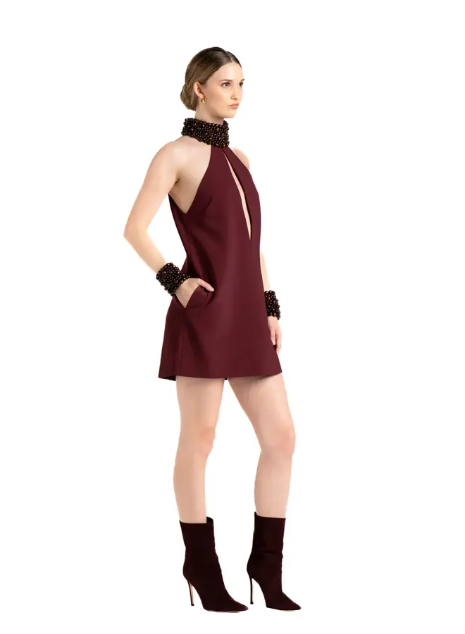 A.Lynn- Andi Dress- Garnet