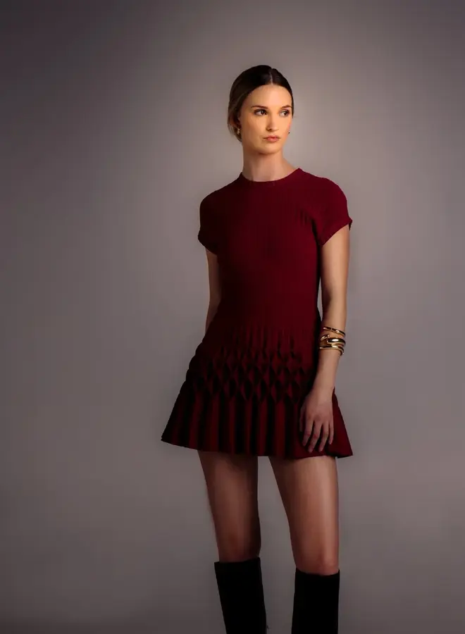 A.Lynn- Dalia Dress- Merlot