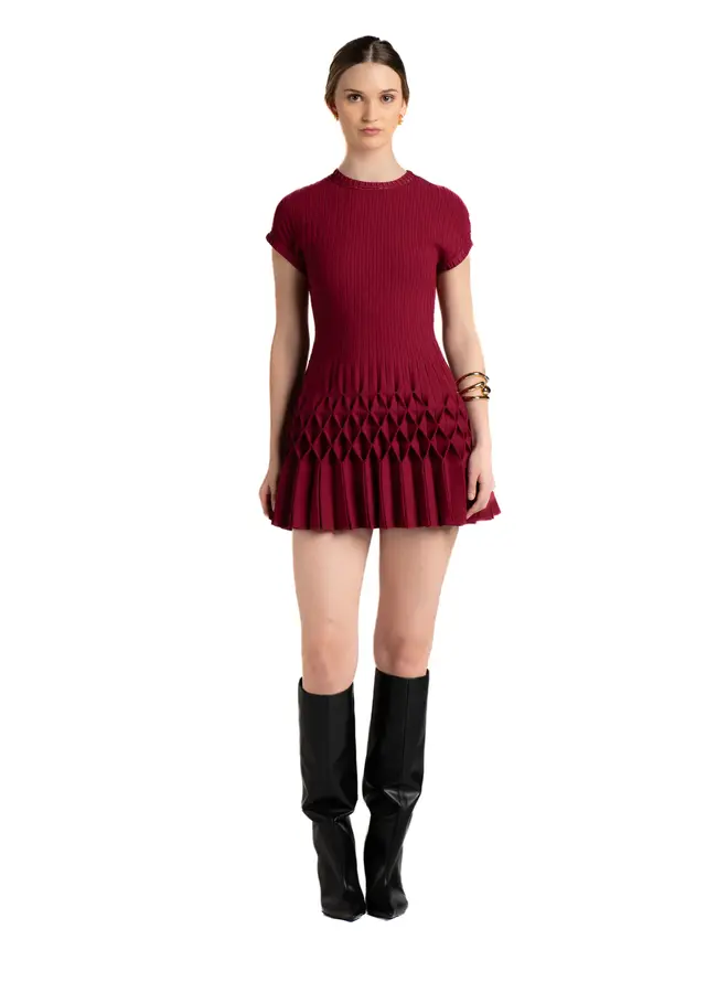 A.Lynn- Dalia Dress- Merlot