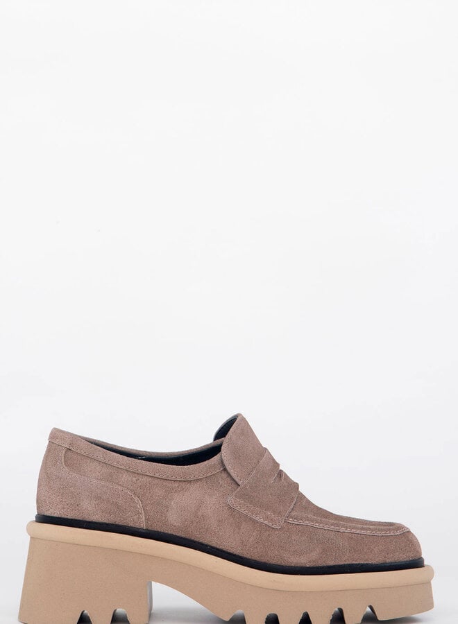 Homers- LYS- Crosta Arkansas- Taupe