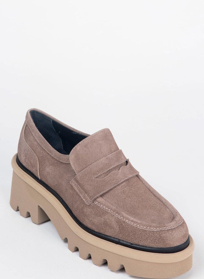 Homers- LYS- Crosta Arkansas- Taupe