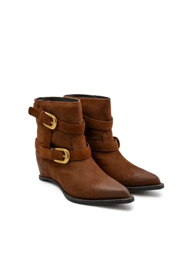 Paloma Barcelo- Riley Camel