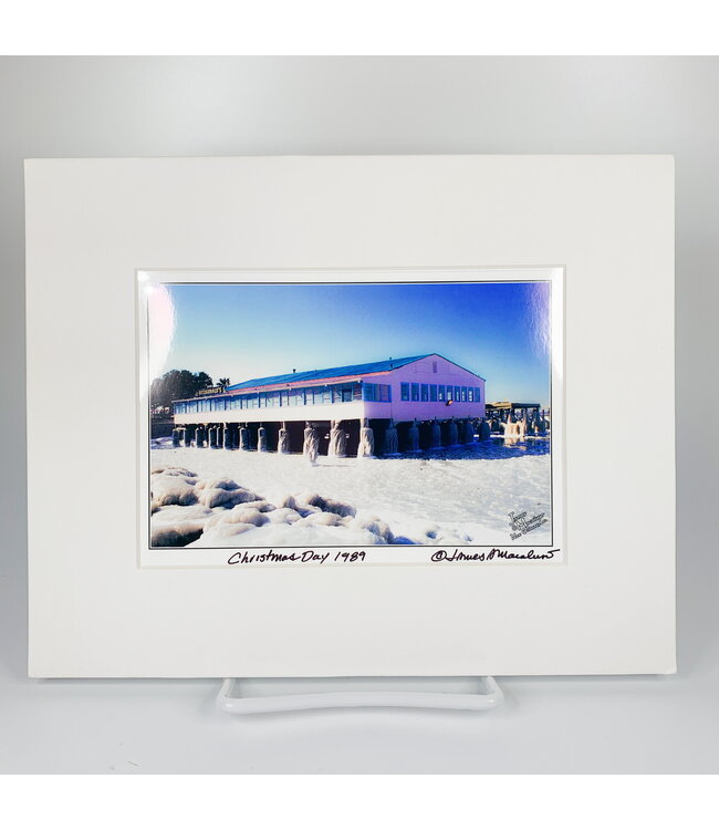 James Macaluso Christmas Day 1989 5x7