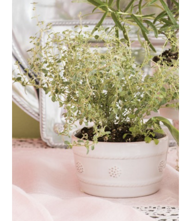 Ramekin B&T White 4''W