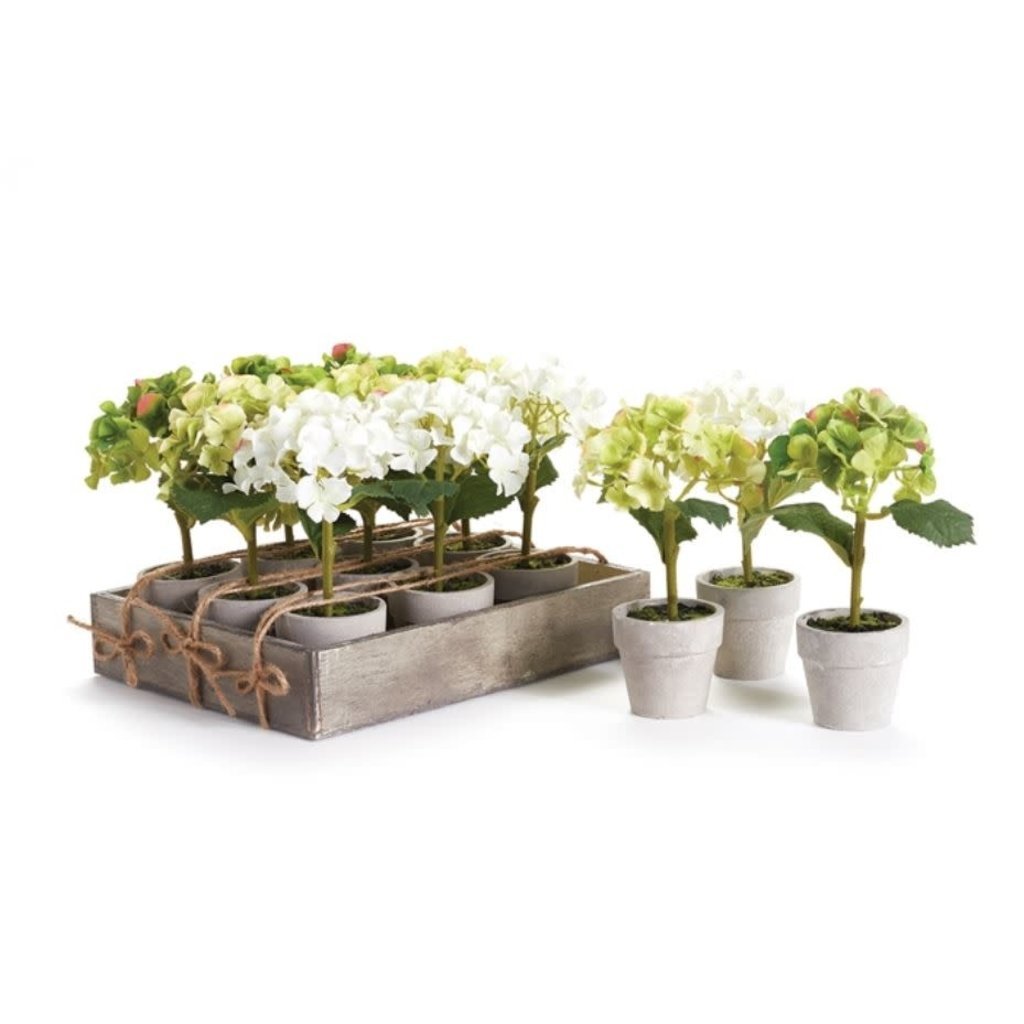 Napa Home & Garden 7'' Mini Hydrangea
