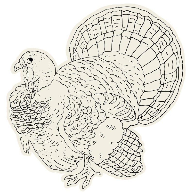 Hester and Cook Die Cut Coloring Turkey Placemat - 12 Sheets