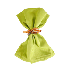 Garnier Thiebaut Napkins Plain Satin Confettis Mousse Green 18x18