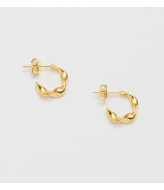 Estella Bartlett Twist Hoop Earrings Gold Plated