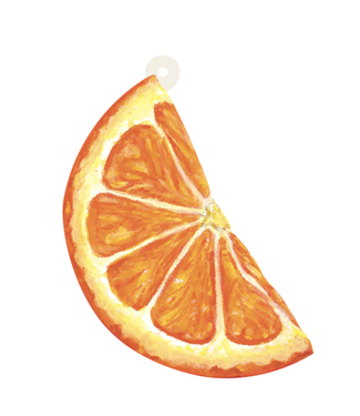 Hester and Cook Orange Slice Gift Tag- Pack of 12