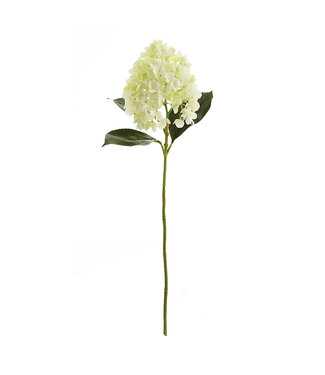 Napa Home & Garden Cone Hydrangea Stem 28” Green