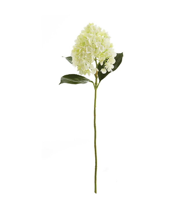 Cone Hydrangea Stem 28” Green