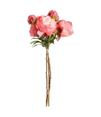 Napa Home & Garden Peonies 21'' Coral