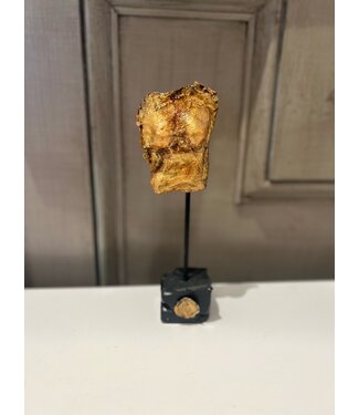 Colleen Frampton Gold mini torso with black/medallion, 8.5x3