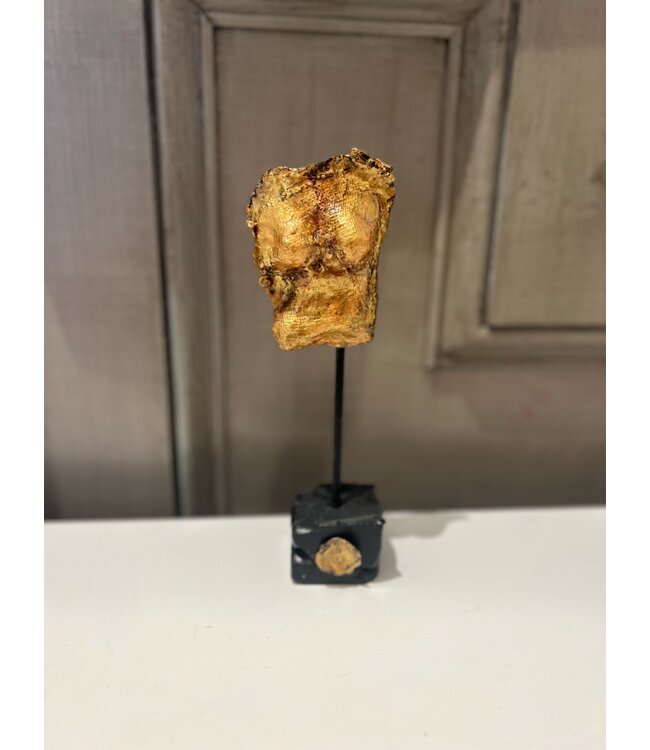 Gold mini torso with black/medallion, 8.5x3
