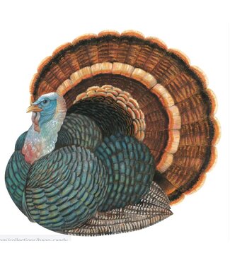 Hester and Cook Die-cut Heritage Turkey Placemat - 12 Sheets