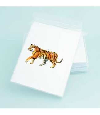 Taylor Paladino Tiger Card Box Set